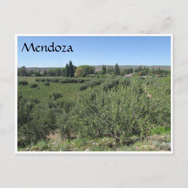 Carte Postale collines vertes de mendoza (Devant)