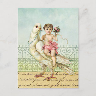 Carte Postale Colombe et ange de blanc