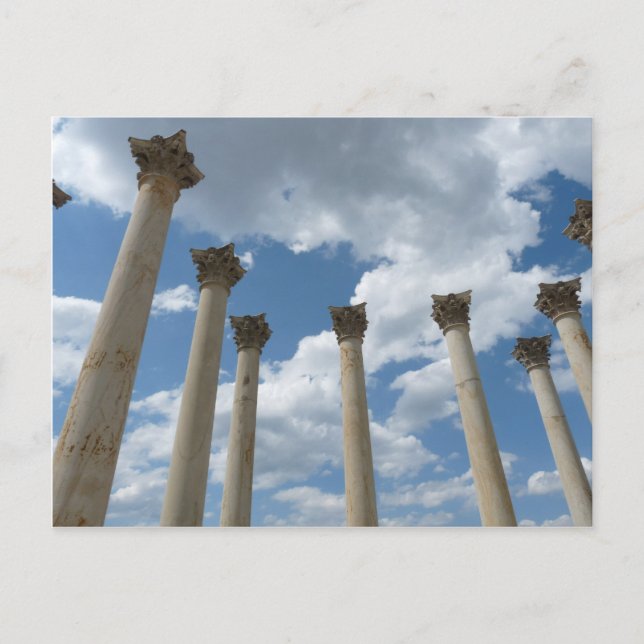 Carte postale Colonnes Arboretum Nationales (Devant)