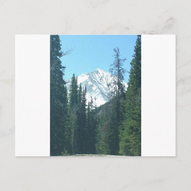 CARTE POSTALE COLORADO (Devant)