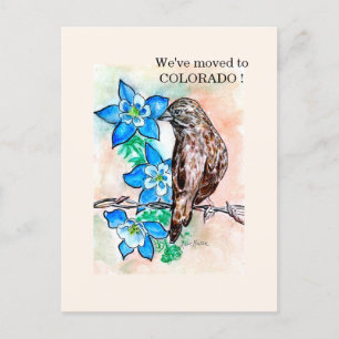 Carte Postale Colorado