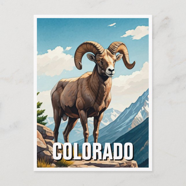 Carte Postale Colorado Bighorn moutons voyage souvenir (Devant)