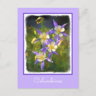 Carte Postale Colorado Blue Columbine Peinture - Art original