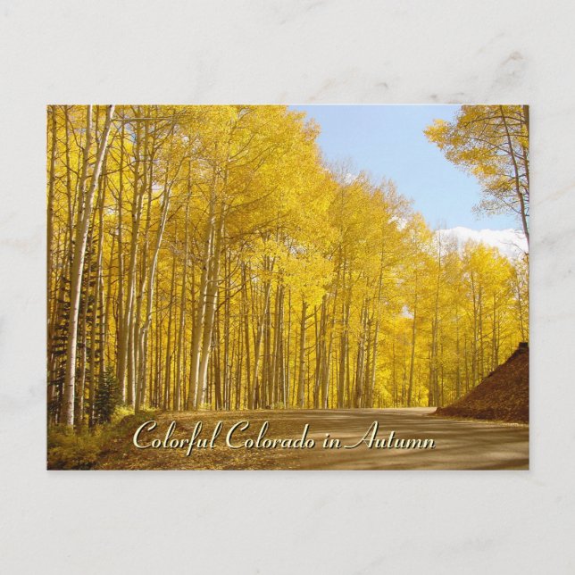 Carte Postale Colorado coloré en automne (Devant)