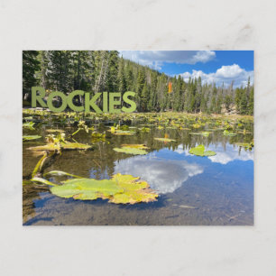 Carte Postale Colorado Lily Pad Roctains