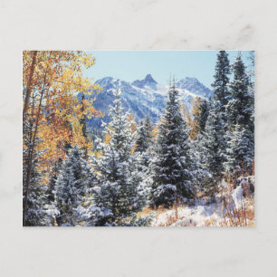 Carte Postale Colorado, montagnes de San Juan, Première neige