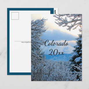 Carte Postale Colorado Montagnes neiges encadrées par des pins