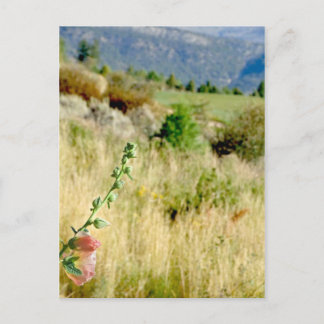 Carte Postale Colorado Septembre