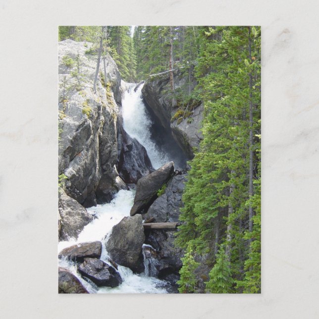 Carte postale Colorado Waterfall (Devant)