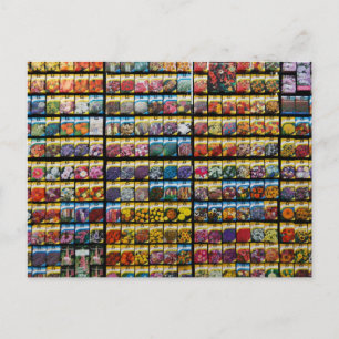 Carte Postale Colorée De Paquet De Semence