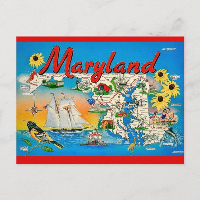 Carte postale colorée du Maryland (Devant)