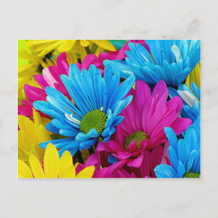 Carte Postale Colorée Rose Turquoise Bleu Gerber Fleurs