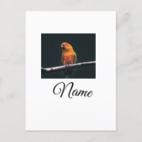 Colorful animal add name photo custom throw