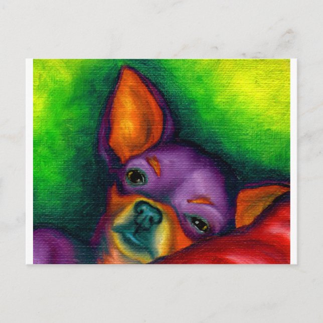 Carte Postale Colorful Chihuahua (Devant)