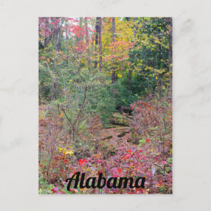 Carte Postale Colorful Fall Tree Collage