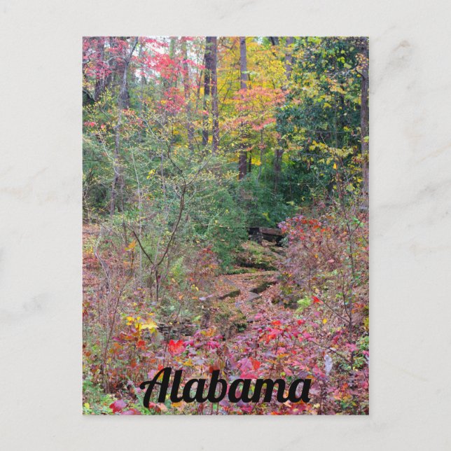 Carte Postale Colorful Fall Tree Collage (Devant)
