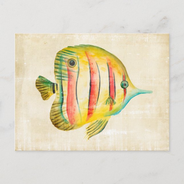 Carte Postale Colorful Fish (Devant)