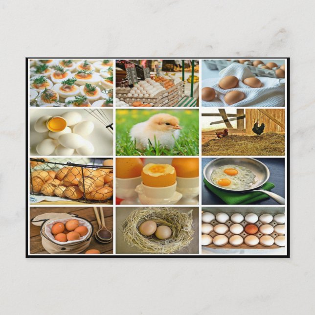 Carte Postale Colorful oeuf poulet produit collage (Devant)