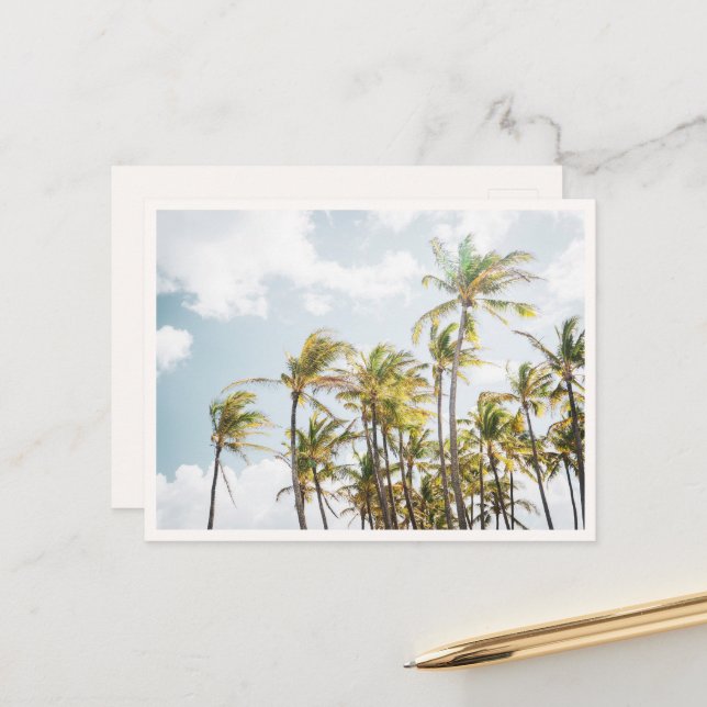 Carte Postale Colorful Palm Trees in Hawaii Blank (Devant/Arrière en situation)