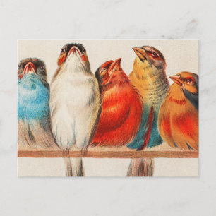 Carte Postale Colorful vintage illustration of five little birds
