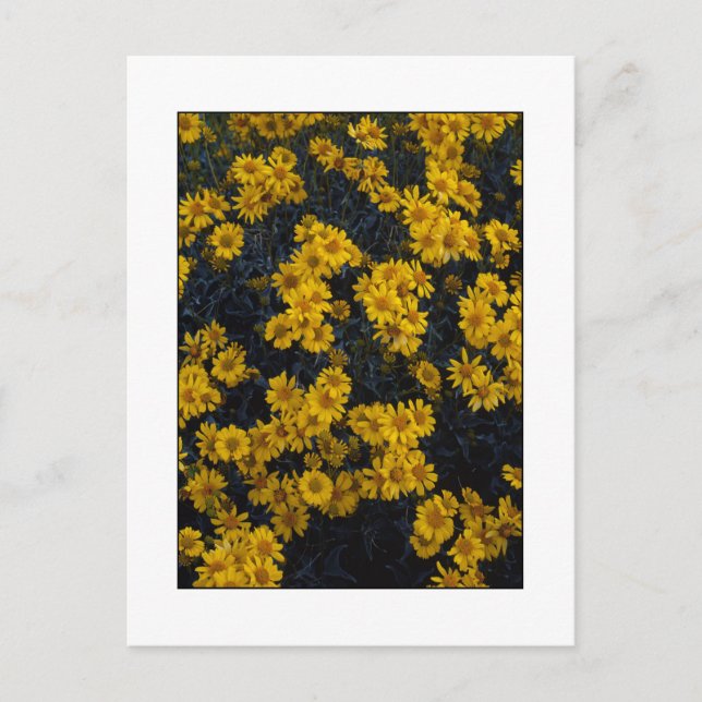 Carte Postale " Colorie-moi en jaune " (Devant)