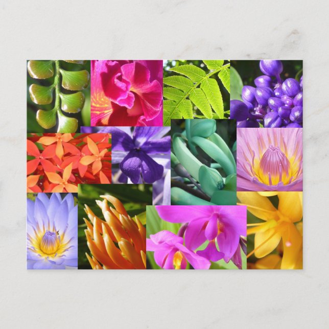 Carte Postale Colour Me Happy (Devant)