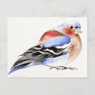 Carte Postale Colourful Chaffinch 2011
