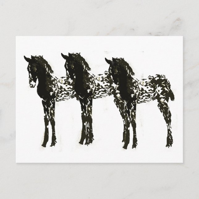 Carte Postale Colts d'application (Devant)