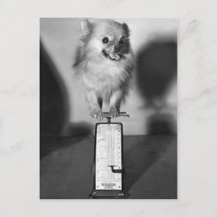 Carte Postale Combien Peser ?