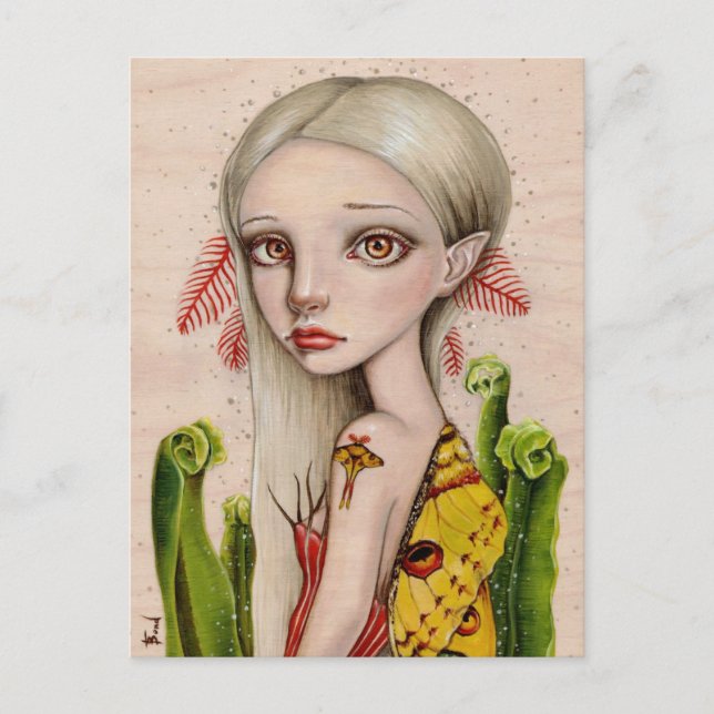 Carte Postale Comet Moth (Devant)