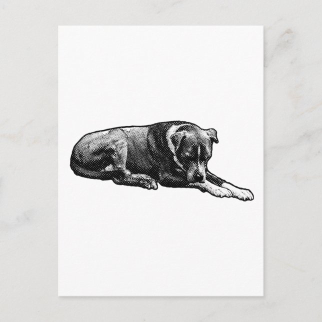 Carte postale Comic-Grain (Devant)