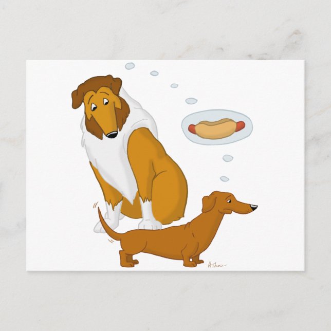 Carte Postale Comique Collie et Dachshund (Devant)