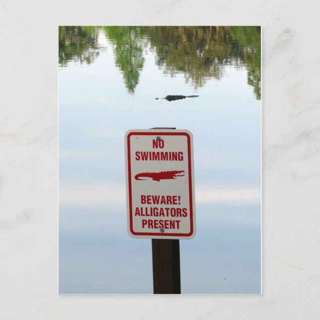 Carte Postale Comité d'accueil pour la Floride (Devant)