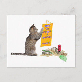 Carte Postale Comment attraper une souris