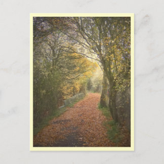 Carte Postale Comment Elysium