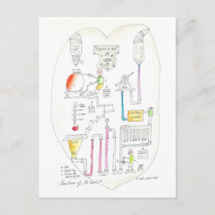Carte Postale Comment fonctionne le coeur