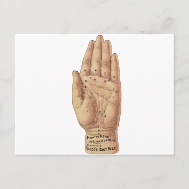 Carte Postale Comment lire les palmiers (Devant)