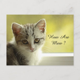 Carte Postale Comment vont Mew Kitten