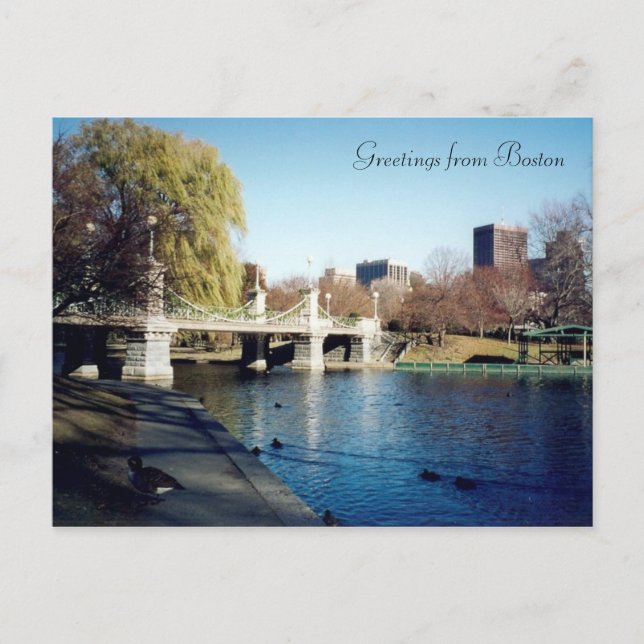 Carte Postale commun de boston (Devant)