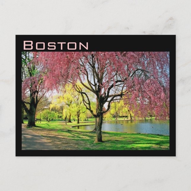 Carte postale commune de Boston (Devant)