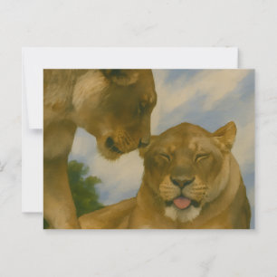 Carte Postale Compagnie de Lioness en Golden Light