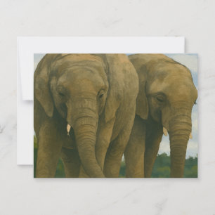 Carte Postale Compagnons éléphants dans la lumière de Savannah
