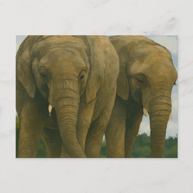 Carte Postale Compagnons éléphants dans la lumière de Savannah (Devant)