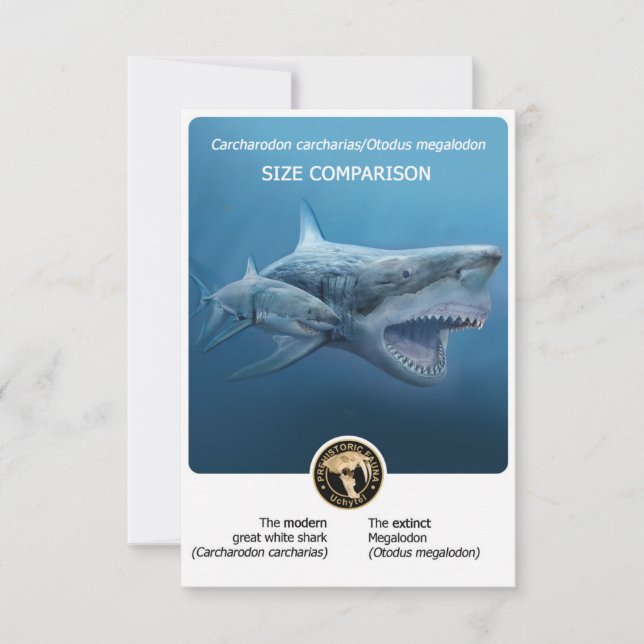 Carte postale Comparaison des tailles (Megalodon+r (Devant)