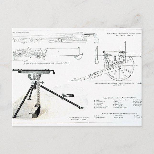 Carte Postale Comparaison du pistolet automatique de Colt (Devant)