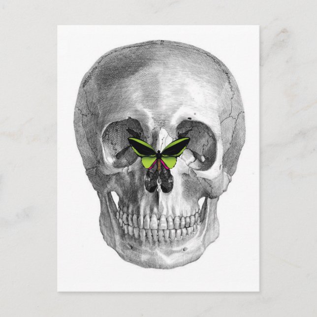 CARTE POSTALE COMPLEXE AVEC BOUTEILLE SUR IMPRESSION DE NEZ (Devant)