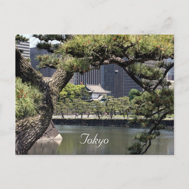 Carte Postale complexe impérial (Devant)