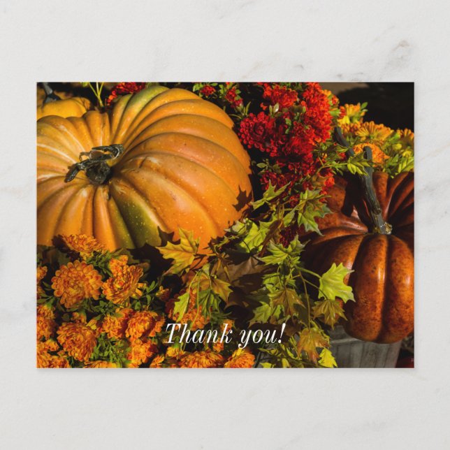 Carte Postale Composition de citrouille et de chrysanthème (Devant)