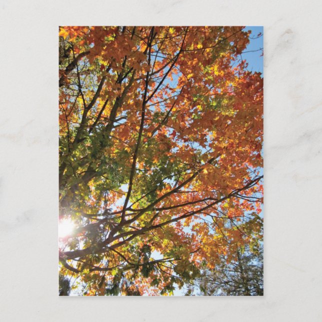 Carte Postale Comté de Door (Devant)