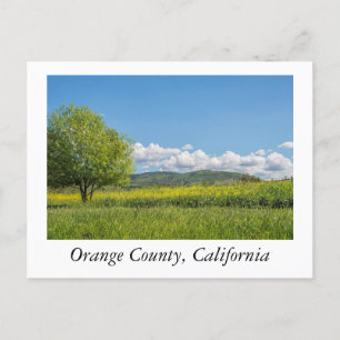 Carte Postale Comté d'Orange, Californie